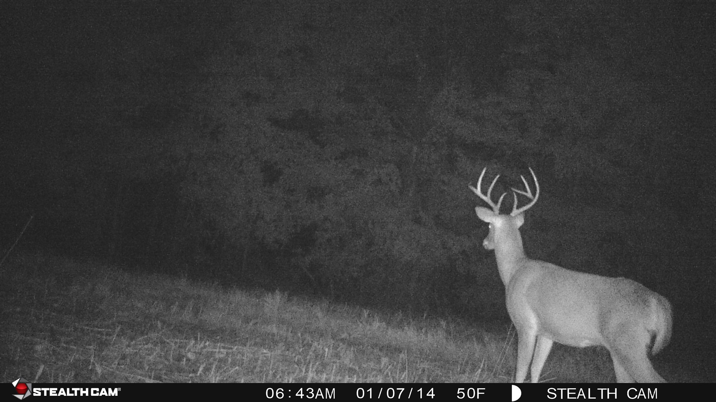 Property photo 76 - LAND AUCTION - 1,682+/- ACRES OFFERED IN 17 TRACTS IN LEWIS & GREENUP COUNTIES, KENTUCKY
